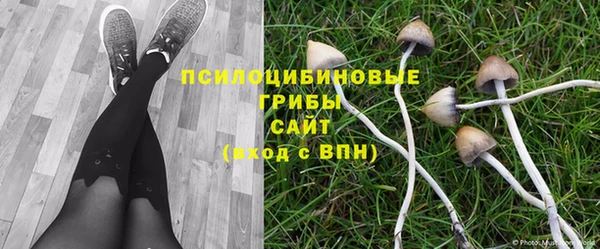 ешки Баксан
