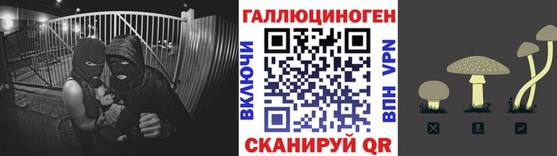 гидра сайт  Реутов  Псилоцибиновые грибы Psilocybe  наркошоп 